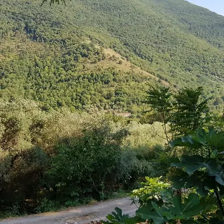 Del Maestro Casa vacanze *
